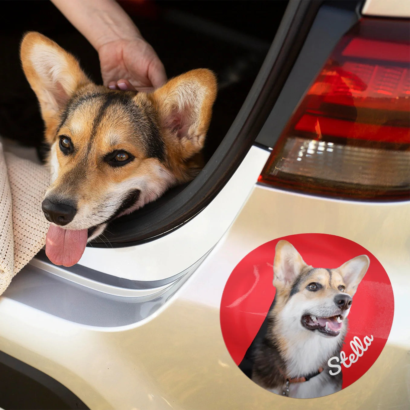 DogSticker™ - Autocollant personnalisé chien pour voiture