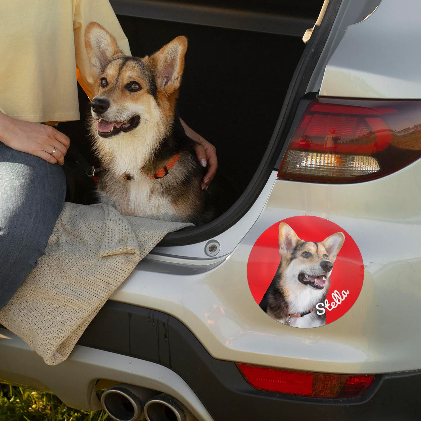 DogSticker™ - Autocollant personnalisé chien pour voiture