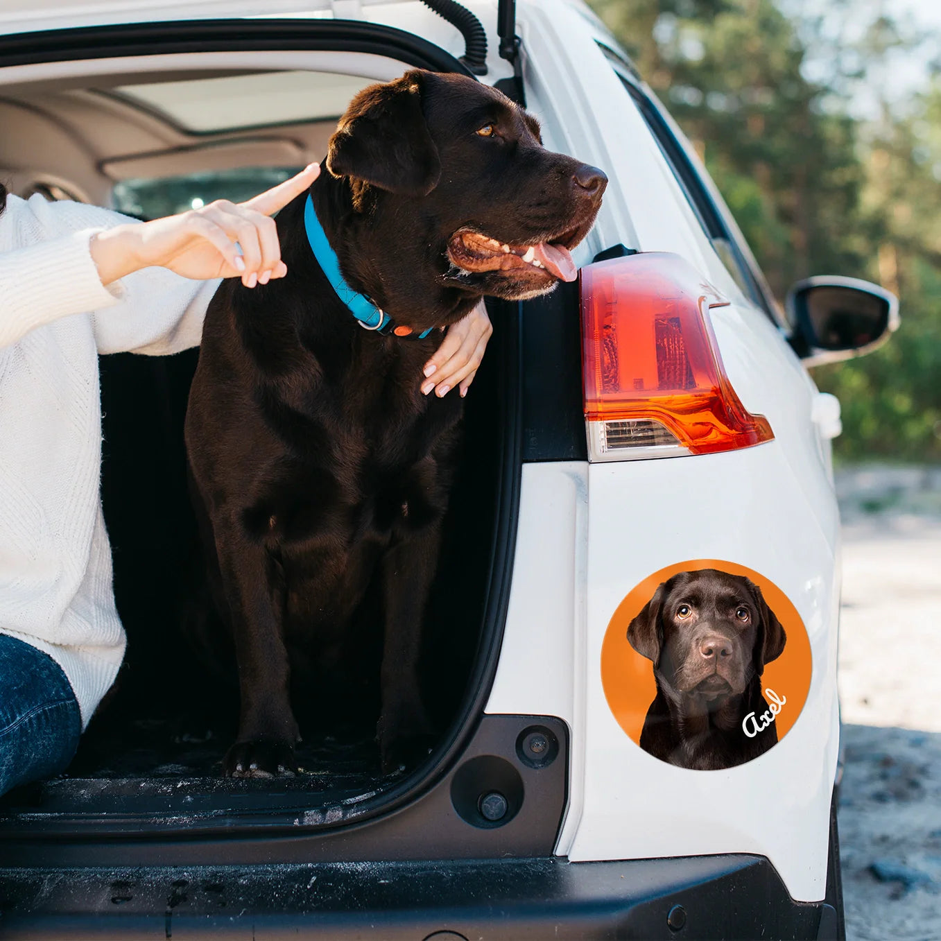 DogSticker™ - Autocollant personnalisé chien pour voiture