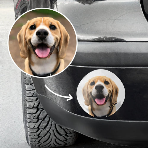 DogSticker™ - Autocollant personnalisé chien pour voiture