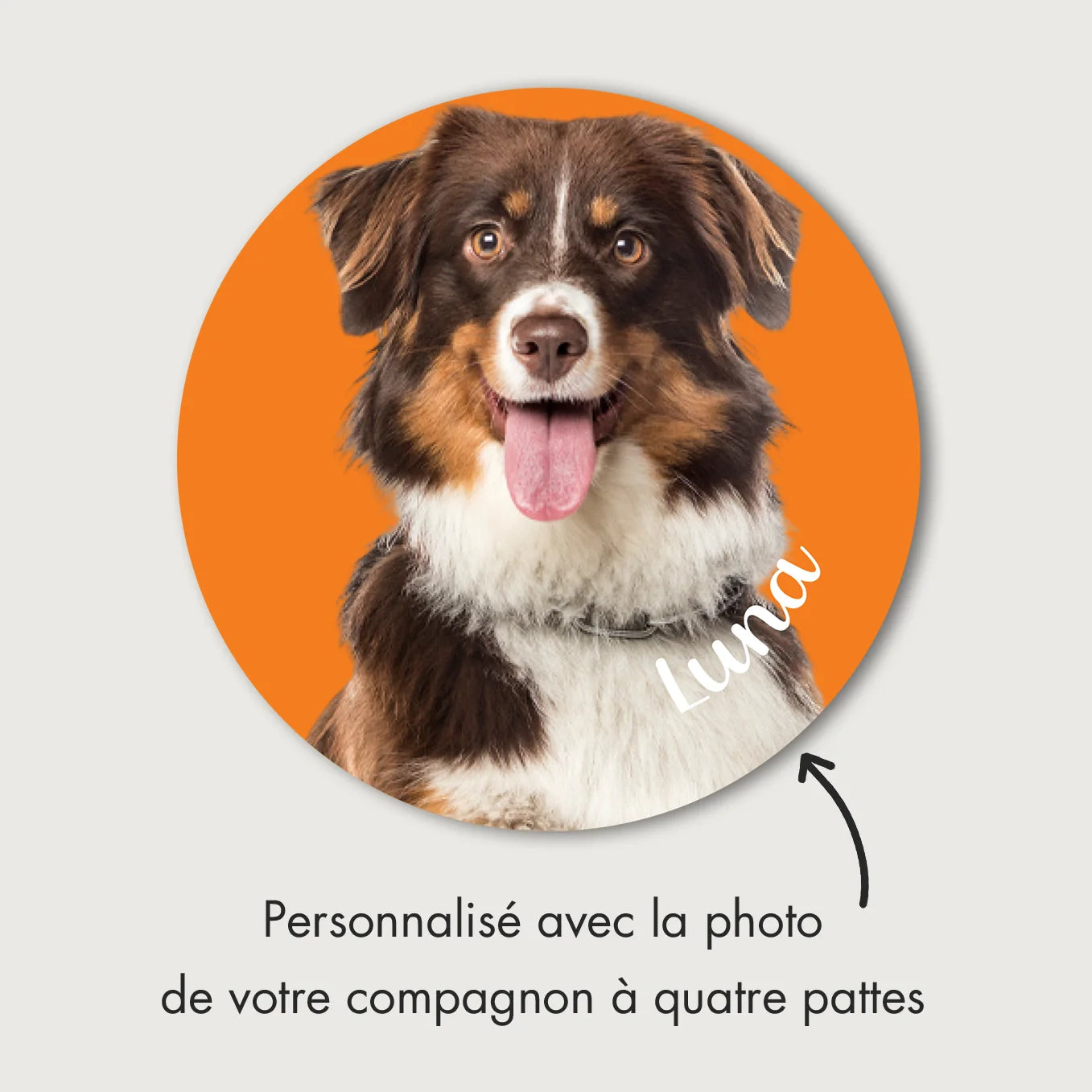 DogSticker™ - Autocollant personnalisé chien pour voiture