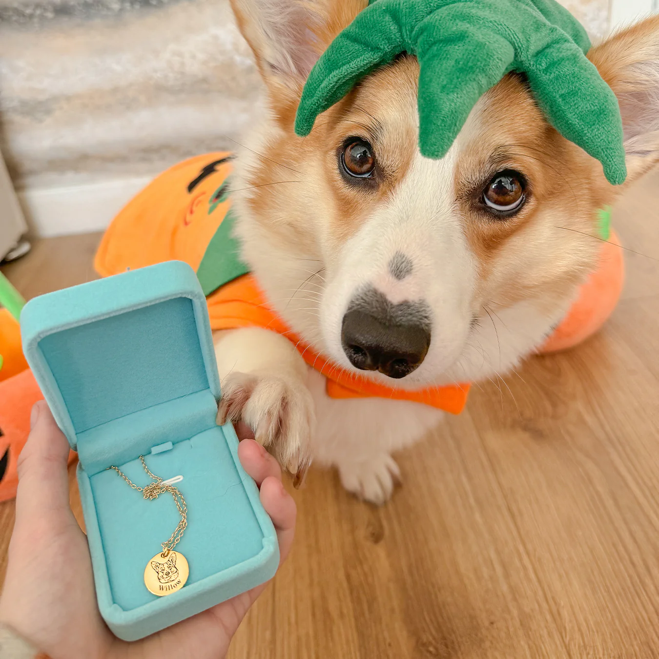 ForeverPet™ - Collier animaux personnalisé